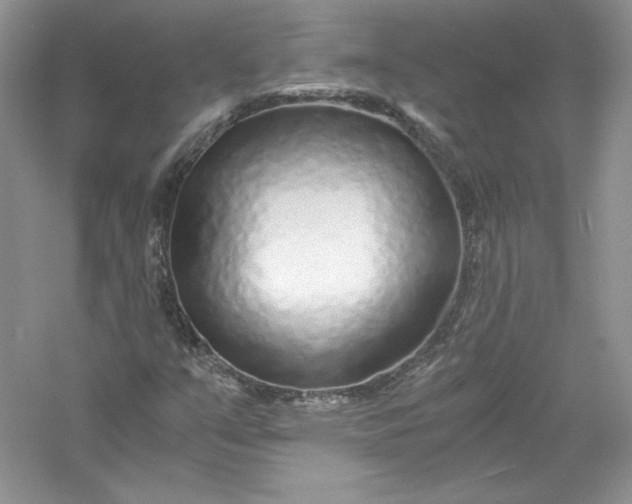 X0000056021351200509092128