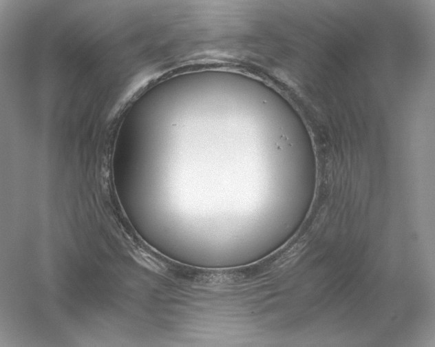 X0000056021355200509092128