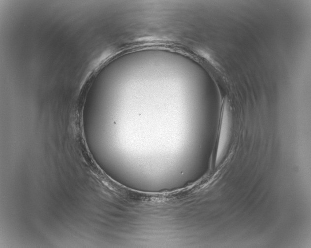 X0000056021357200509092128