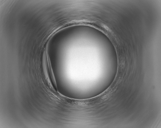 X0000056021361200509092128