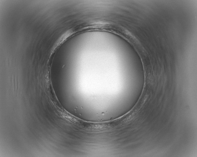X0000056021362200509092128