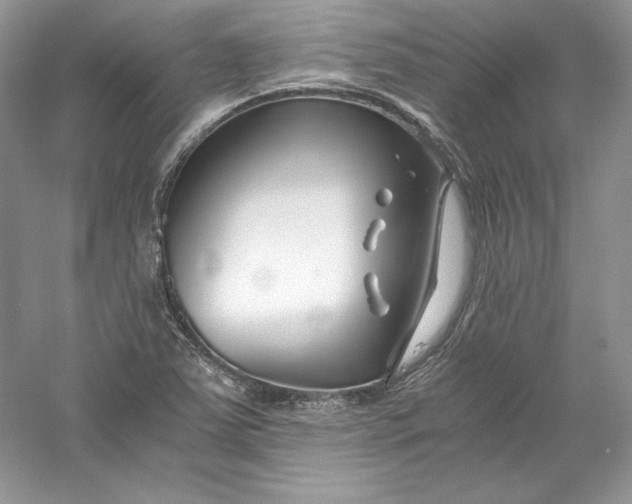 X0000056021363200509092128