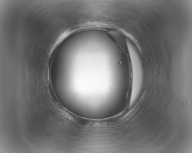 X0000056021365200509092128