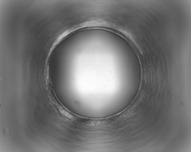 X0000056021366200509092128