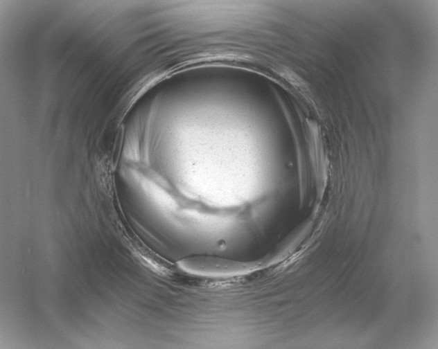 X0000056021369200509092128