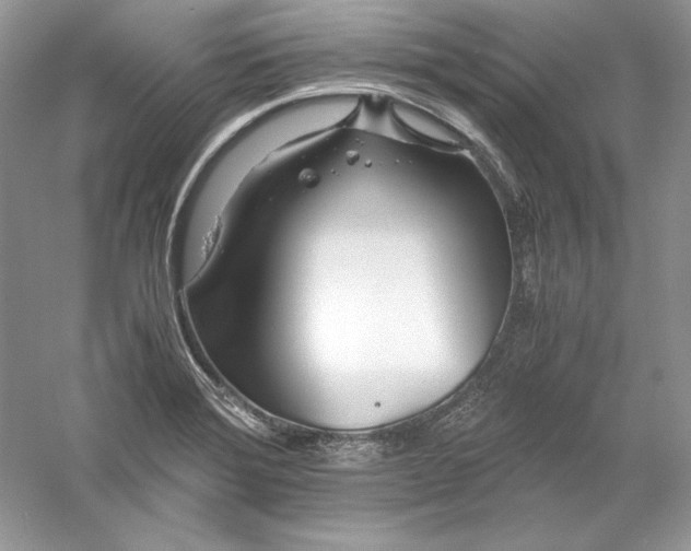 X0000056021372200509092128