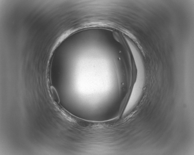 X0000056021373200509092128