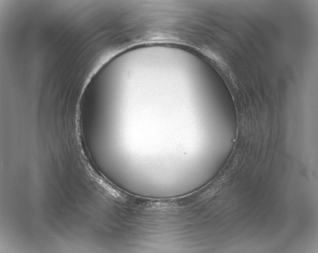 X0000056021374200509092128