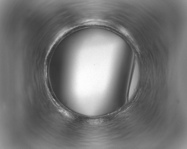 X0000056021376200509092128