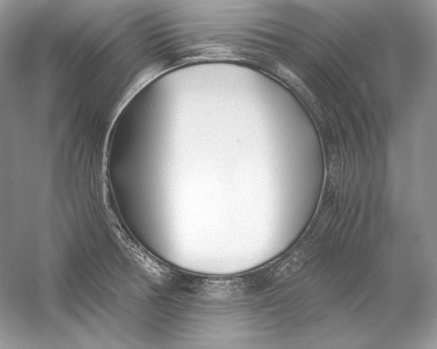 X0000056021378200509092128