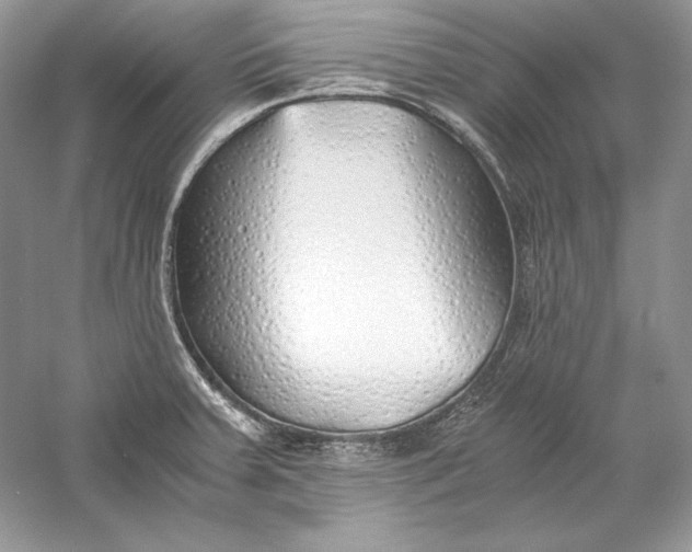 X0000056021379200509092128