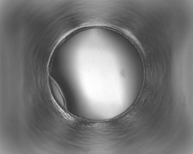 X0000056021380200509092128