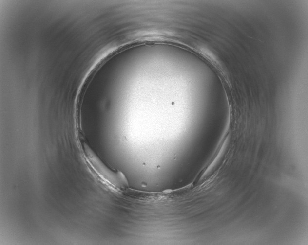 X0000056021384200509092127
