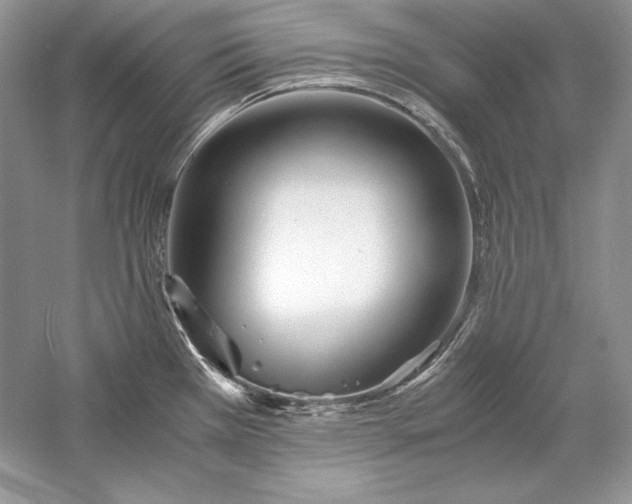 X0000056021385200509092127