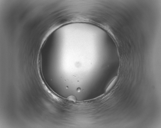 X0000056021387200509092127