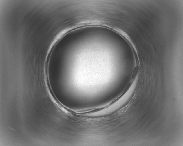 X0000056021389200509092127