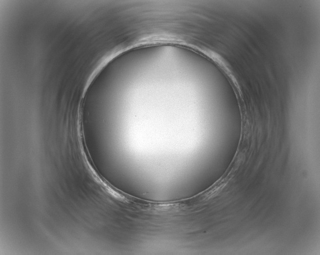 X0000056021390200509092127