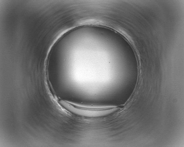 X0000056021392200509092127