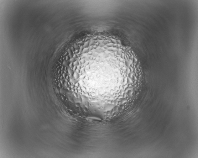 X0000056021393200509092126