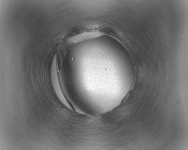 X0000056021394200509092127