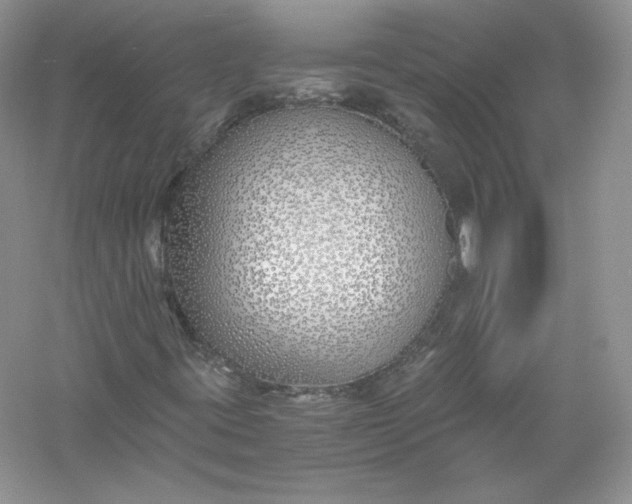 X0000056021395200509092127