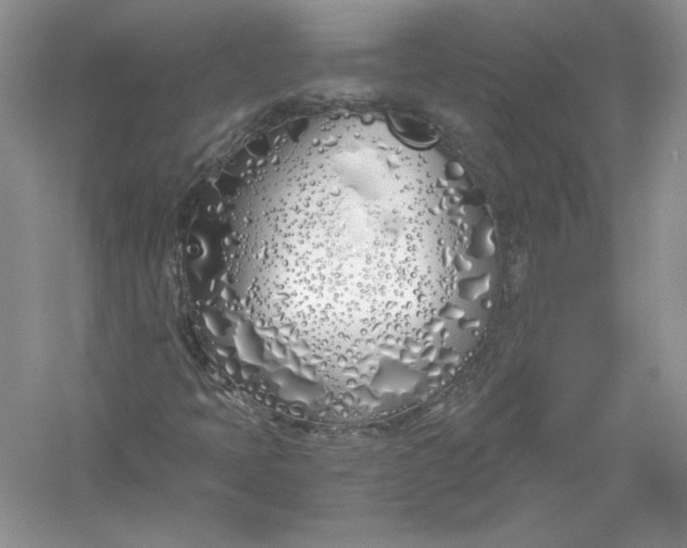 X0000056021397200509092127