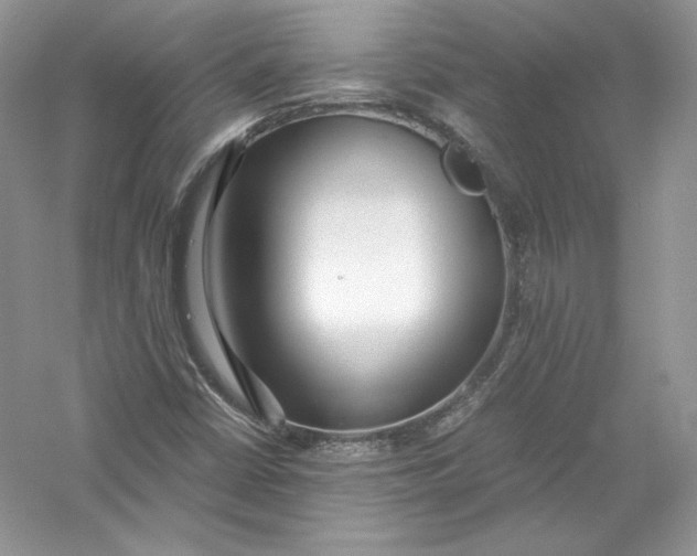X0000056021402200509092127