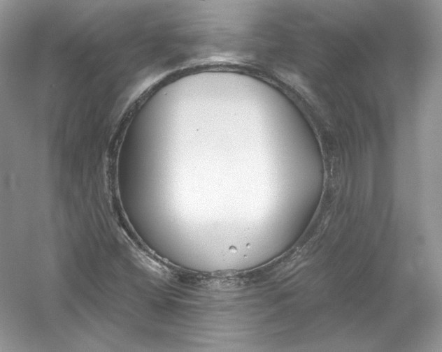 X0000056021404200509092127