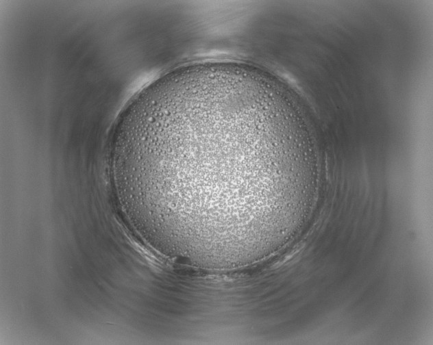 X0000056021405200509092127