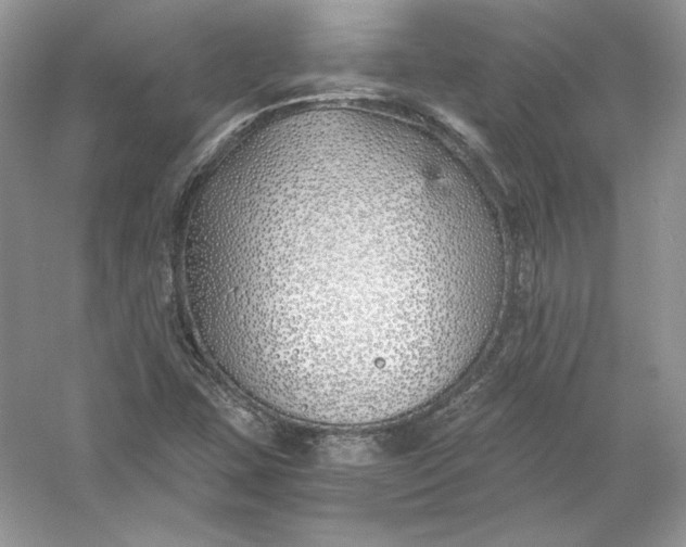 X0000056021407200509092127
