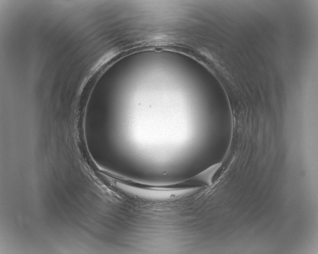 X0000056021410200509092127