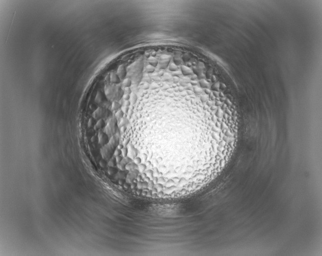 X0000056021415200509092127