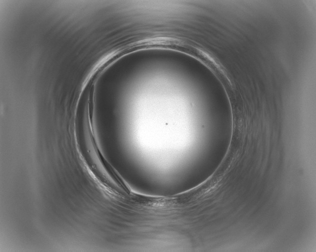 X0000056021418200509092127