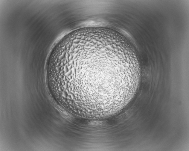 X0000056021419200509092127