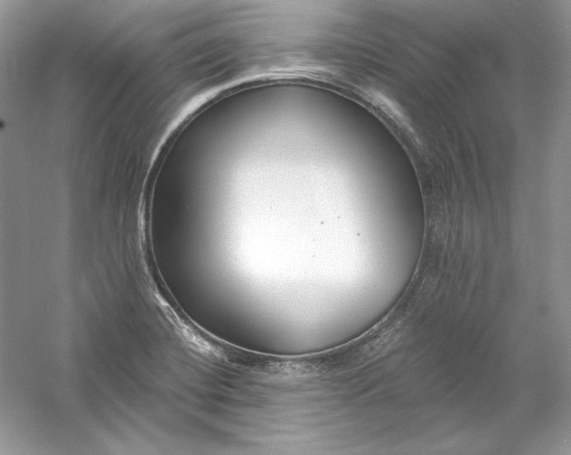 X0000056021420200509092127