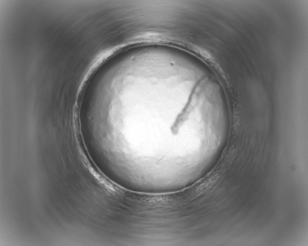 X0000056021421200509092127