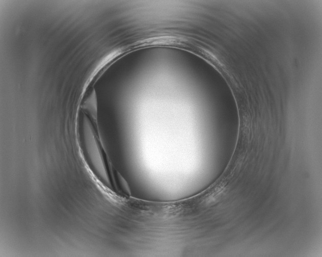 X0000056021426200509092127