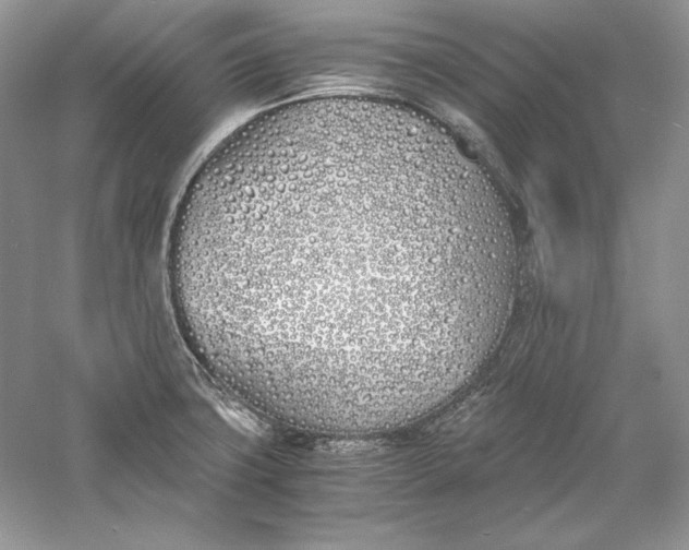 X0000056021427200509092127