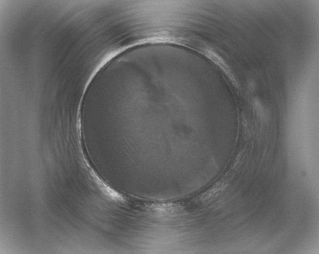 X0000056021428200509092127