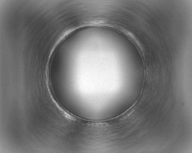 X0000056021432200509092127