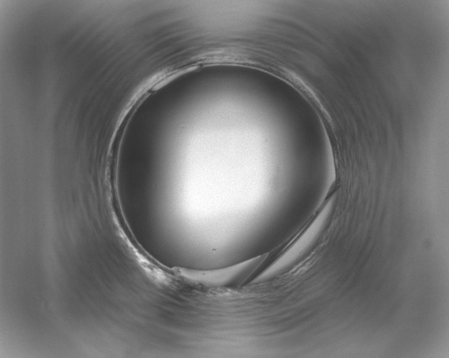 X0000056021434200509092127