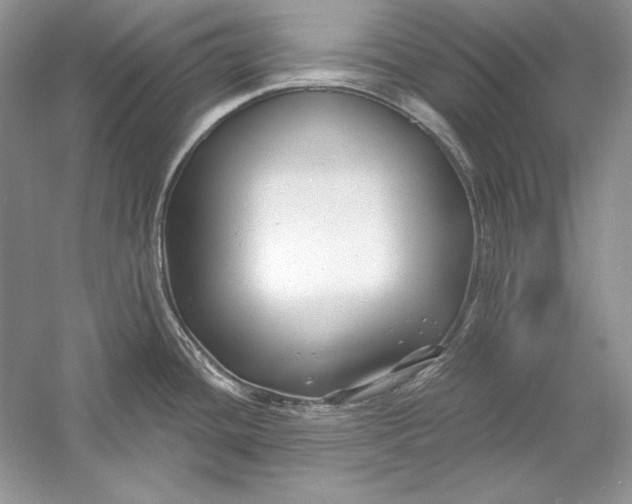 X0000056021436200509092127