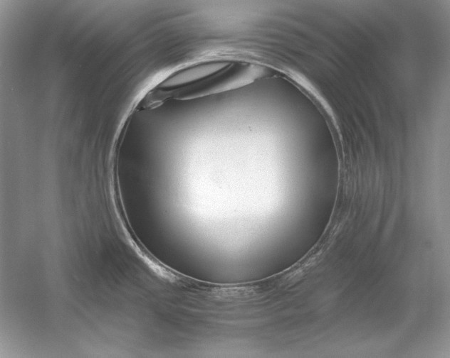 X0000056021437200509092127