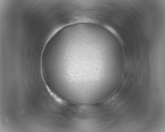 X0000056021439200509092127