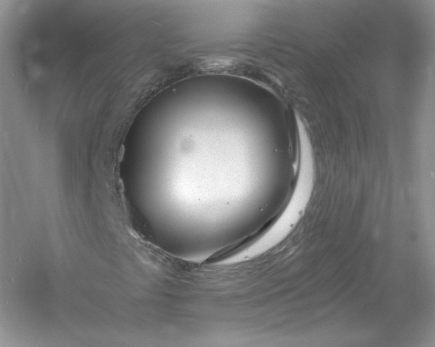 X0000056021441200509092126