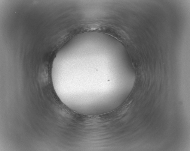 X0000056021442200509092126