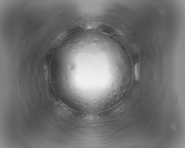 X0000056021443200509092126