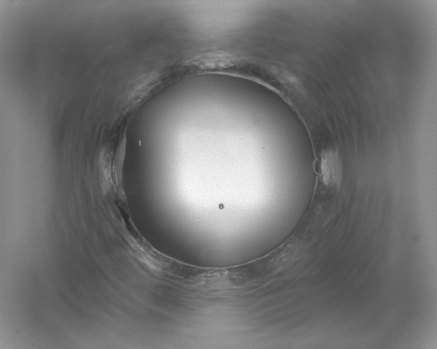 X0000056021444200509092126