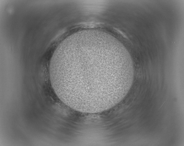 X0000056021446200509092126