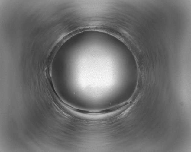 X0000056021449200509092126